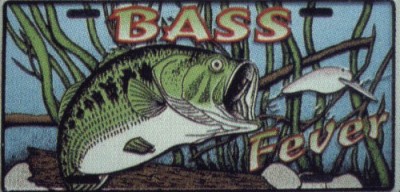 Bass_Fever